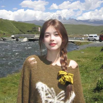 秘密战队五连者:炸弹旋风